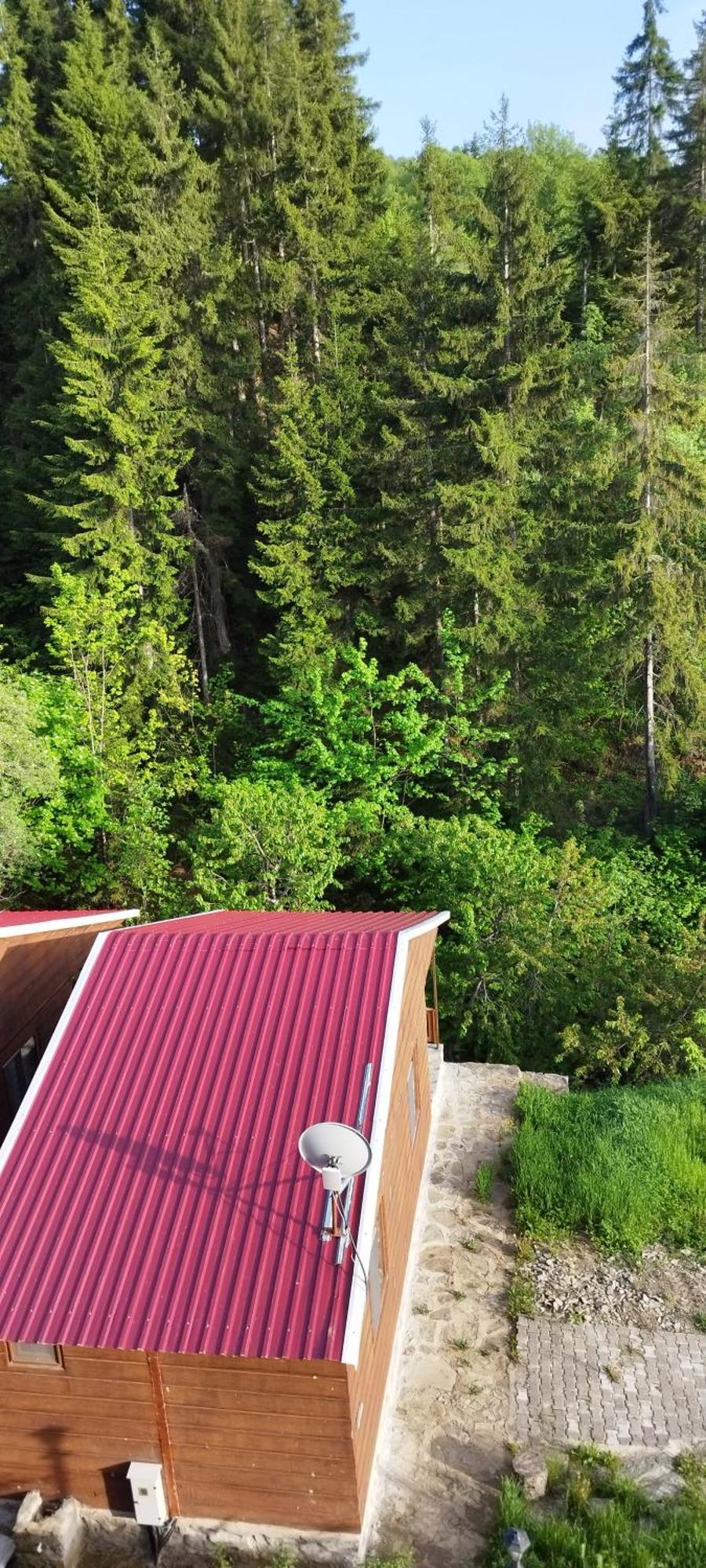 Danzot Tatil Köyü Artvin Dış mekan fotoğraf